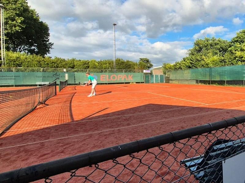 Hekwerk Tennisvereniging Lewedorp